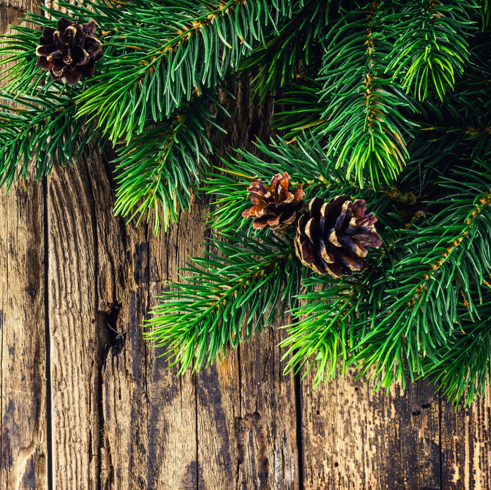 Adirondack Christmas (Fraser Fir)